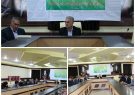 نشست شورای هماهنگی شبکه محیط زیست و منابع طبیعی استان