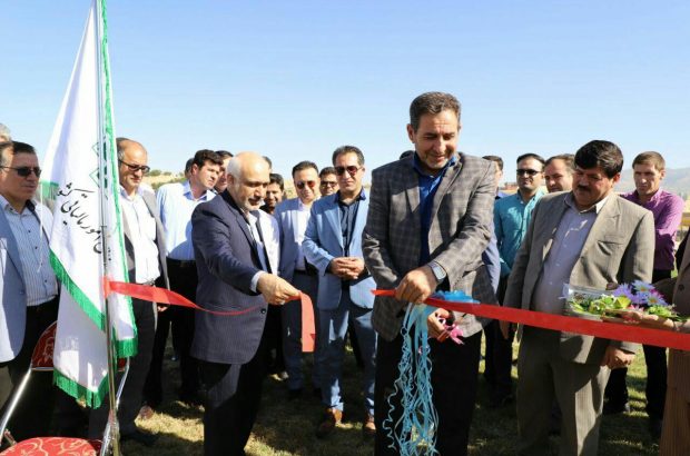 به مناسبت هفته فرهنگ مالیاتی و با حضور جمعی از مدیران استانی، “بوستان مالیات” شهر ایلام افتتاح شد.
