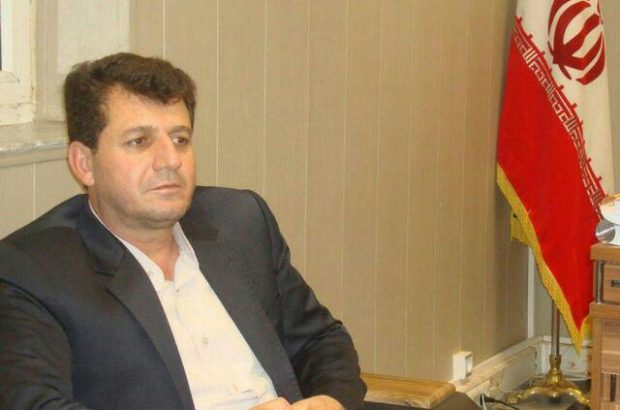 ناصری مدیرسازمان تعاون روستایی استان ایلام