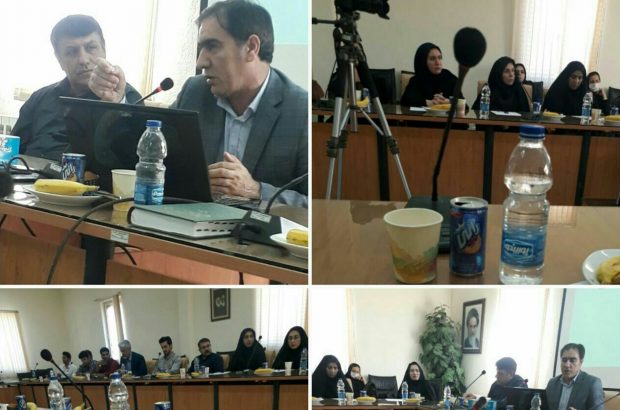 رییس دانشگاه علمی کاربردی ایلام رییس دانشگاه علمی کاربردی ایلام
