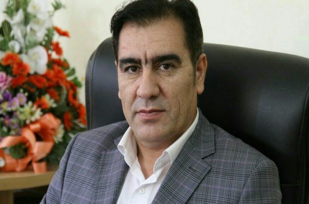  رئیس دانشگاه علمی و کاربردی ایلام: رئیس دانشگاه علمی و کاربردی ایلام: