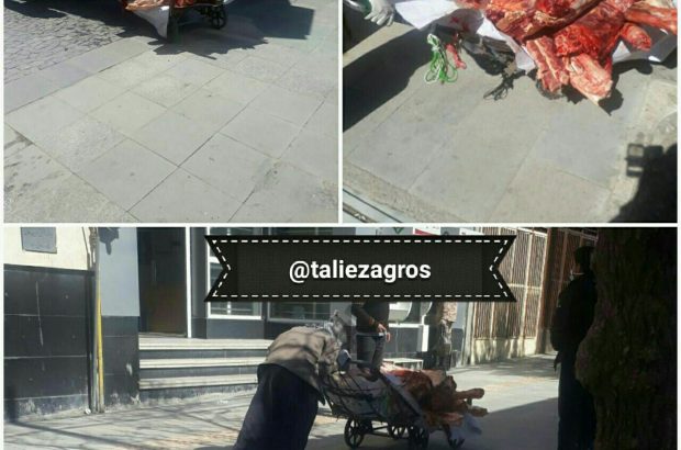 حمل غیر بهداشتی گوشت قرمز در ایلام وخطر آلوده شدن آن را چه کسی پاسخگوست ؟ حمل غیر بهداشتی گوشت قرمز در ایلام وخطر آلوده شدن آن را چه کسی پاسخگوست ؟