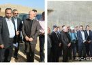 پي گيري روند احداث راه ارتباطي چشمه چاهي به سفيد خاني شهرستان سيروان در بازديد نماينده استان ايلام در مجلس شوراي اسلامي به همراه مديركل راه و شهرسازي استان پي گيري روند احداث راه ارتباطي چشمه چاهي به سفيد خاني شهرستان سيروان در بازديد نماينده استان ايلام در مجلس شوراي اسلامي به همراه مديركل راه و شهرسازي استان