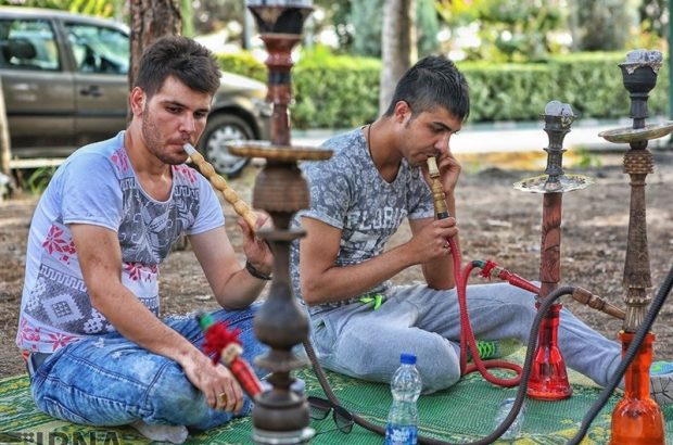 دود شدن سرمایه های تحصیلکرده شهر ایلام با پک زدن به قلیان دود شدن سرمایه های تحصیلکرده شهر ایلام با پک زدن به قلیان