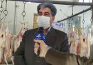 ذبح ۴۱۰ راس دام قربانی جهت توزیع در بین نیازمندان ایلام ذبح ۴۱۰ راس دام قربانی جهت توزیع در بین نیازمندان ایلام