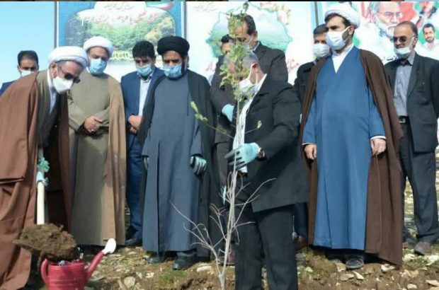 تاکید نماینده ولی فقیه در استان ایلام بر ضرورت توجه به کاشت نهال در خانه های شهری و روستایی