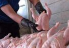 پر کشیدن دوباره قیمت مرغ / مرغ ها پرواز میکنند؟! یا دولت آنها را از سفره های مردم به پرواز درمی آورد!