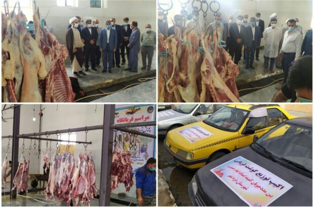 تحویل و اهدای ۱۱۰۰ رأس دام قربانی به قربانگاه های کمیته امداد استان ایلام تحویل و اهدای ۱۱۰۰ رأس دام قربانی به قربانگاه های کمیته امداد استان ایلام