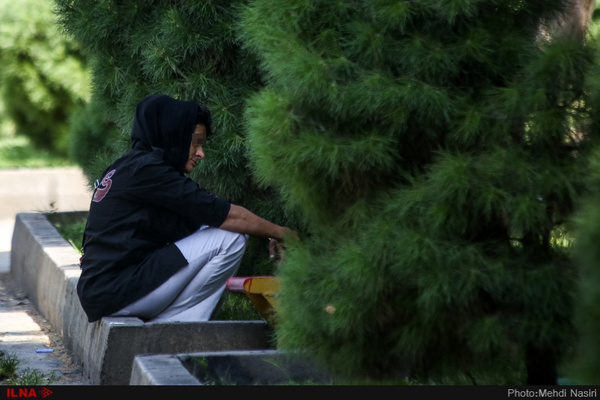خطر مواد مخدر بیش از هر زمانی به خانواده های ایلامی نزدیک است / خلا برنامه های پیشگیرانه وعدم هدایت قربانیان این ویروس مرگبار اجتماعی از سوی مسولان ارشد استان! خطر مواد مخدر بیش از هر زمانی به خانواده های ایلامی نزدیک است / خلا برنامه های پیشگیرانه وعدم هدایت قربانیان این ویروس مرگبار اجتماعی از سوی مسولان ارشد استان!