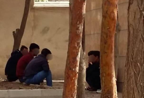 خطر موادمخدر «گل » در کمین جوانان ونوجوانان ایلامی خطر موادمخدر «گل » در کمین جوانان ونوجوانان ایلامی