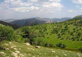 طبیعت زیبای چرداول را دریابیم طبیعت زیبای چرداول را دریابیم