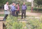 گردهمایی مدیران کل منابع طبیعی و آبخیزداری منطقه دو کشور (حوزه زاگرس) در ایلام