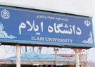 دانشگاه ایلام عضو هیأت علمی جذب میکند