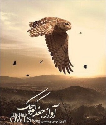 «آواز جغد کوچک» در بخش مسابقه محبوبترین جشنواره حیات وحش اروپا شرکت کرد «آواز جغد کوچک» در بخش مسابقه محبوبترین جشنواره حیات وحش اروپا شرکت کرد