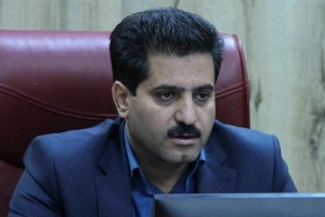 ۱۷۵ کیلومتر فیبرنوری در استان ایلام اجرا شد