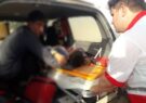 حمله خرس در ارتفاعات کبیر کوه باعث مصدوم شدن یک نوجوان شد