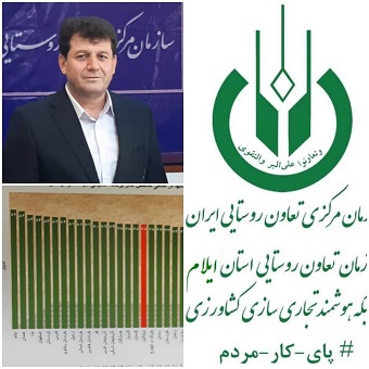 کسب رتبه نخست ملی در ارزیابی عملکرد توسط مدیریت تعاون روستایی ایلام