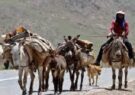 درست مصرف کنیم، زندگی ادامه دارد!