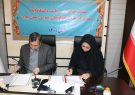 تفاهم نامه همکاری مشترک بین اداره کل کتابخانه های عمومی و دانشگاه ایلام منعقد شد تفاهم نامه همکاری مشترک بین اداره کل کتابخانه های عمومی و دانشگاه ایلام منعقد شد