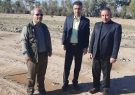 بازدید مدیرکل منابع طبیعی ایلام از نهالستان گرمسیری مهران