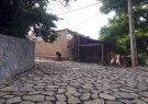 مدیرکل بنیاد مسکن انقلاب اسلامی ایلام از اجرای طرح هادی در ۲۴۳ روستای ایلام خبر داد