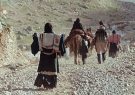 مدیرکل امور عشایری استان ایلام از آغاز بهسازی راه های عشایری خسارت دیده از سیل خبر داد