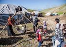 مدیرکل امور عشایری ایلام: تولید سالانه ۱۸۵۰ تن مواد لبنی توسط عشایر ایلام