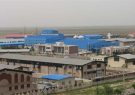 مدیرعامل شرکت گاز ایلام از گازدار شدن ۱۴۳ واحد تولیدی و صنعتی در نقاط شهری و روستایی ایلام خبر داد