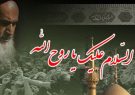 ضرورت معرفی شخصیت امام خمینی (ره) به نسل جوان
