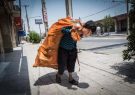 مدیرکل بهزیستی ایلام خبر داد: ۵۲ کودک‌ کار در ایلام شناسایی و ساماندهی شدند