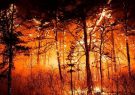 مدیرکل منابع طبیعی و آبخیزداری ایلام از آمادگی دستگاه های ایلام برای مقابله با حریق های احتمالی خبر داد