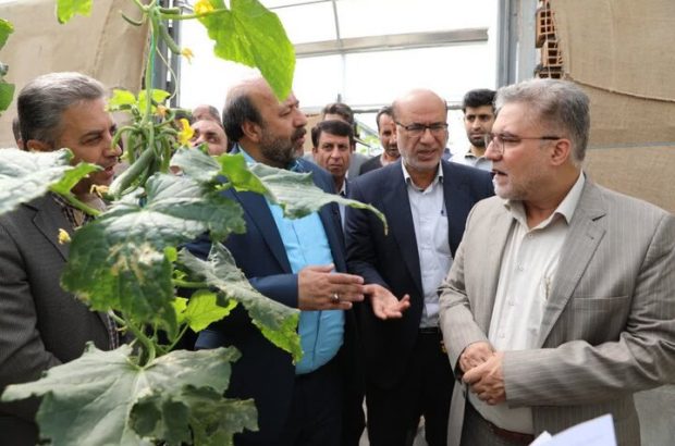 معاون وزیر کشور تاکید کرد: مشکلات حوزه تولید محصولات کشاورزی و گلخانهها بررسی و در اسرع وقت برطرف شود معاون وزیر کشور تاکید کرد: مشکلات حوزه تولید محصولات کشاورزی و گلخانهها بررسی و در اسرع وقت برطرف شود