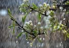 کارشناس پیش بینی هواشناسی ایلام خبر داد: هوای ایلام تا شنبه ناپایدار است