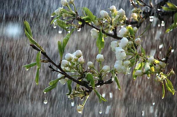کارشناس پیش بینی هواشناسی ایلام خبر داد: هوای ایلام تا شنبه ناپایدار است