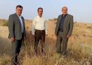فرماندار ویژه دهلران خبر داد: اجرای کشت گلخانه ای در ۳۲ هکتار اراضی روستای برم دهلران