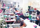 میزان اشتغال ایجاد شده توسط کمیته امداد استان ۱۰۴ درصد محقق شده است