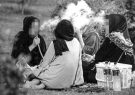 باورها و تصورات غلط درباره آرامشبخش بودن قلیان/ قلیان به سرعت دارد جایش را در جمع های زنان و دختران باز می کند