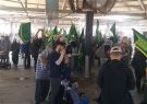 رئیس دانشگاه علوم پزشکی ایلام خبر داد: گرمازدگی ۱۴ هزار نفر از زائران مرز مهران