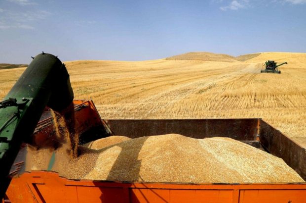 ارسال پرونده کامل مطالبات گندمگاران به بانک های عامل ایلام