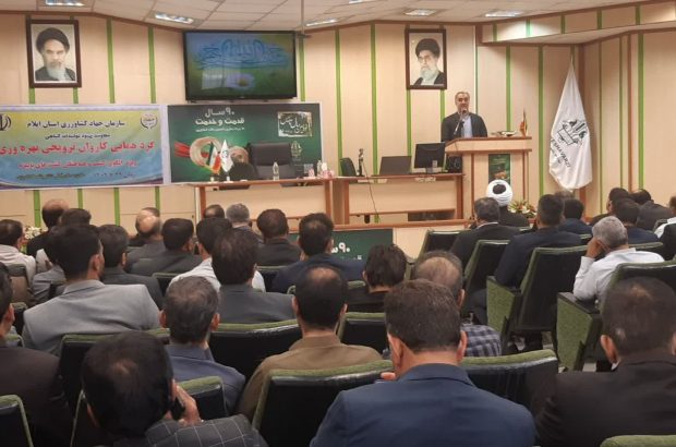 سطح تحت پوشش طرح ملی جهش تولید در دیمزارهای استان ایلام افزایش مییابد/ آموزش کشاورزان جدی گرفته شود سطح تحت پوشش طرح ملی جهش تولید در دیمزارهای استان ایلام افزایش مییابد/ آموزش کشاورزان جدی گرفته شود