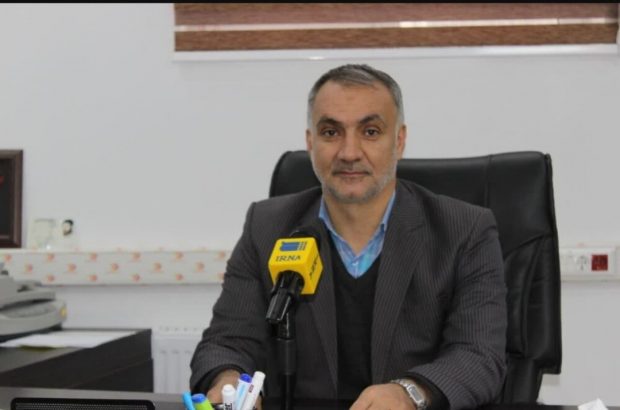 مدیرکل ستاد اجرایی ایلام تاکید کرد: روستاها باید به نقش تولیدی خود برگردند