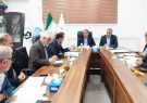 ۱۰۰هزار هکتار از اراضی ایلام زیرچترجهش تولید در دیمزارها