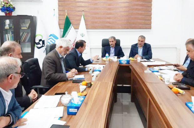 ۱۰۰هزار هکتار از اراضی ایلام زیرچترجهش تولید در دیمزارها