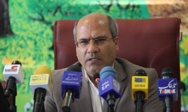 تولید گلدان گیری حدود ۶ میلیون اصله نهال از انواع گونه های جنگلی و بیابانی