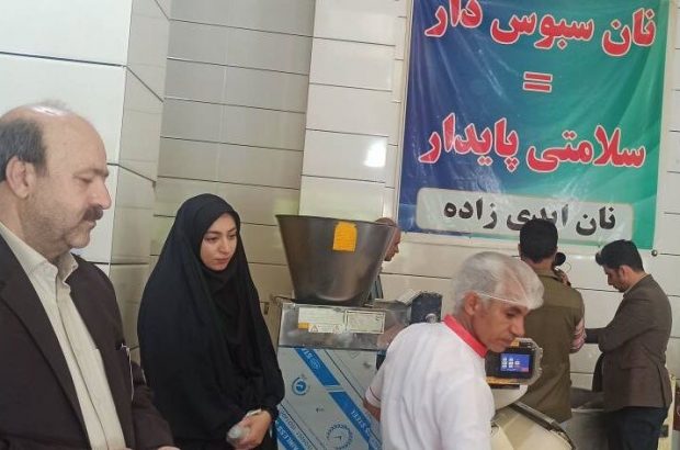 معاون هماهنگی امور اقتصادی استاندار ایلام از اجرایی شدن نهضت پخت نان کامل در ایلام خبر داد