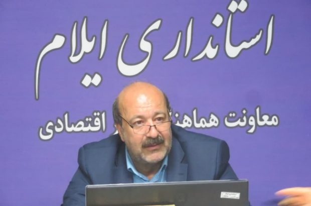 رکورد تولید کلزا در استان ایلام شکسته شد