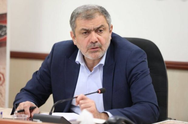استان تهران معین ایلام در خدمت رسانی به زوار اربعین شد
