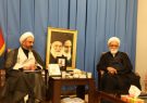 اقدامات اعضای جمعیت هلال احمر در نقاط مختلف استان ایلام ملموس و مشهود است