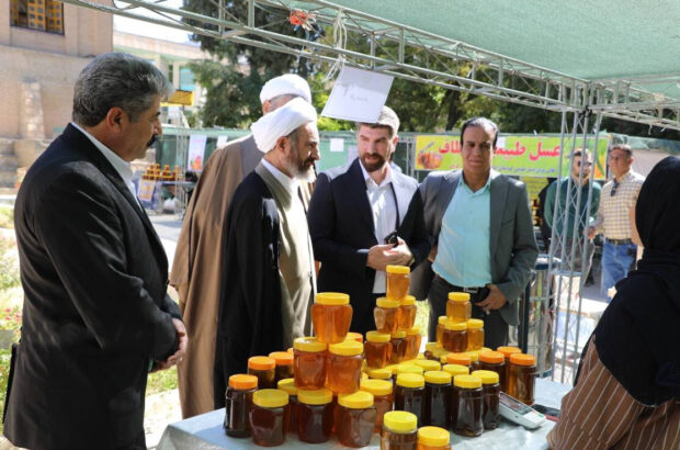 باید از زنبورداران و تولیدکنندگان حمایت شود تا مانعی در مسیر رشد اقتصادی استان وجود نداشته باشد