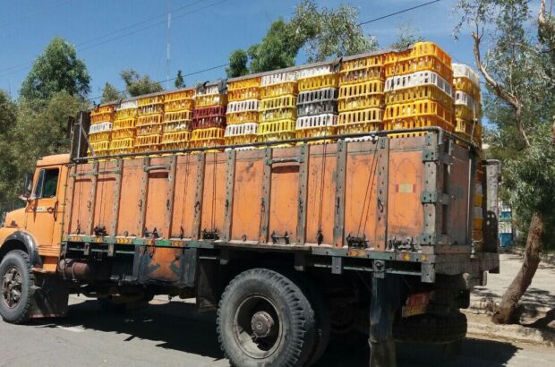 ۱۰ تُن مرغ قاچاق دیگر با رصد اطلاعاتی سپاه در ایلام توقیف شد ۱۰ تُن مرغ قاچاق دیگر با رصد اطلاعاتی سپاه در ایلام توقیف شد